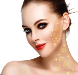 Spinnen Tattoos Goud - 2 vellen