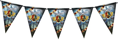Harry Potter Vlaggenlijn Zweinstein (3m)