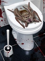 Halloween WC-Bril Decoratie Spin - 30x40cm (voorbeeld)