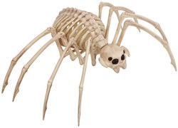 Spinnen Skelet Halloween Decoratie (35x20cm)