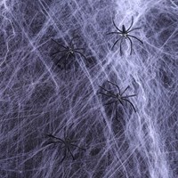 Spinnenweb Brandvertragende Wit + Spinnen (125gr)