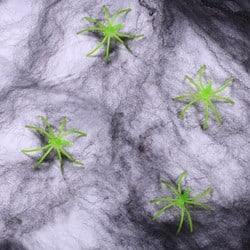 Spinnenweb Brandvertragende Zwart+ Spinnen (125gr)