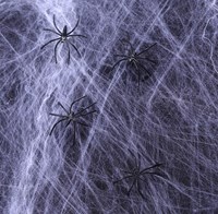 Brandvertragend Spinnenweb 500gr + 12 Spinnen 
