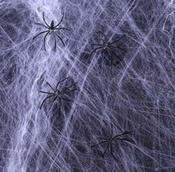 Brandvertragend Spinnenweb 500gr + 12 Spinnen 