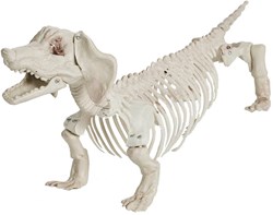 Decoratie Halloween Skelet Hond - 55cm