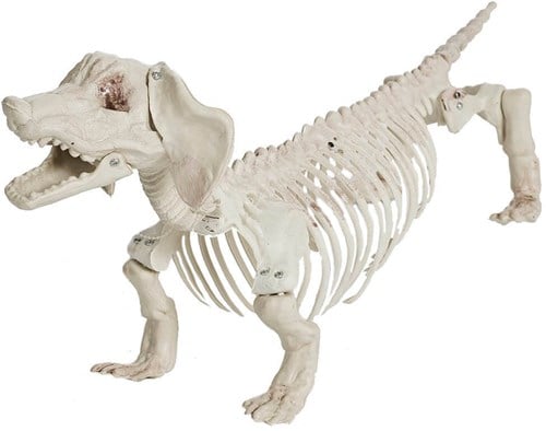 Decoratie Halloween Skelet Hond - 55cm