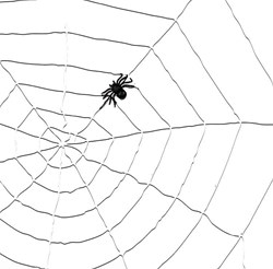 Decoratie Witte Spinnenweb (1,5m)