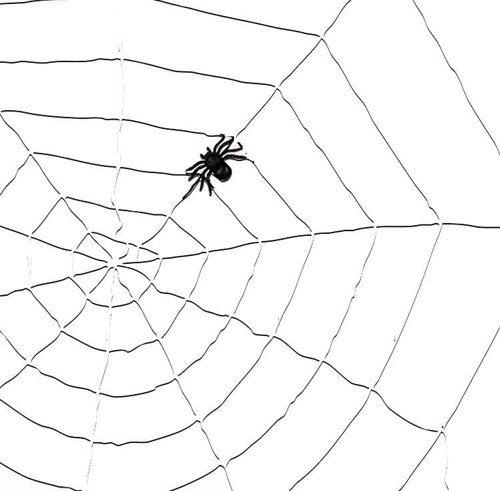 Decoratie Witte Spinnenweb (1,5m)