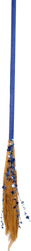 Blauwe Heksenbezem (110cm)