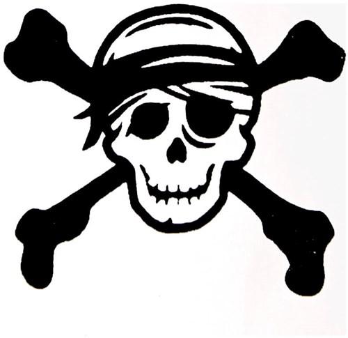 Glitter Sjabloon QuickTattoo Skull - 8x9,5cm