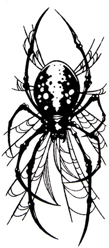 Glitter Sjabloon QuickTattoo Spin - 8x12cm