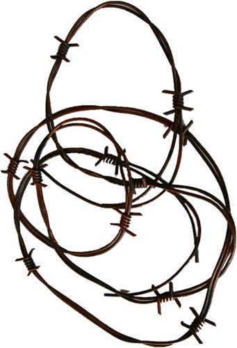 Prikkeldraad Roestig 240cm