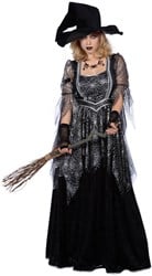 Dames Spider Witch Heksenjurk