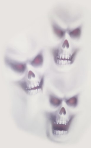 Halloween Skulls Raamdecoratie 61x30cm
