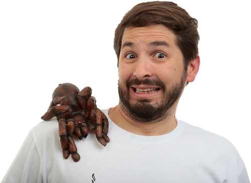 Clip-on Buddy Tarantula Spin (latex)