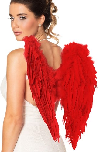 Engelenvleugels Rood (50x50cm)