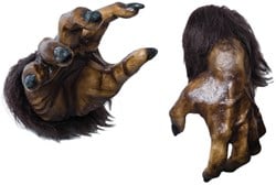 Deco Weerwolf Handen Halloween met Zuignap - 2st