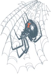 Black Widow Tattoo (Biker Tattoo)