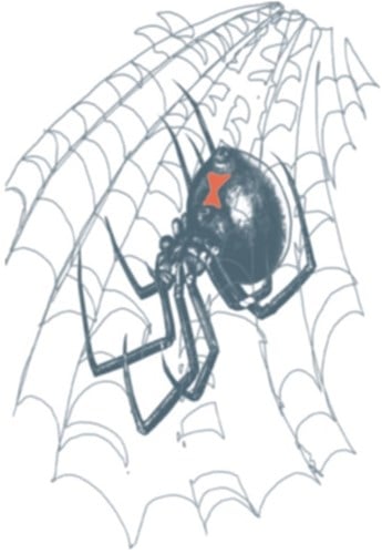 Black Widow Tattoo (Biker Tattoo)