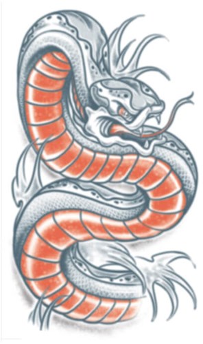 Snake Tattoo - Slang (Biker Tattoo)