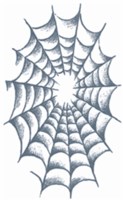 Tatoeage Spinnenweb (9x15cm)