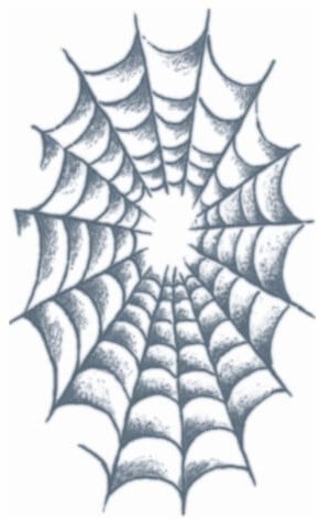 Tatoeage Spinnenweb (9x15cm)