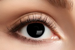 Lenzen Black Witch (3 maanden)