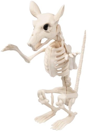 Decoratie Halloween Skelet Rat (18cm)