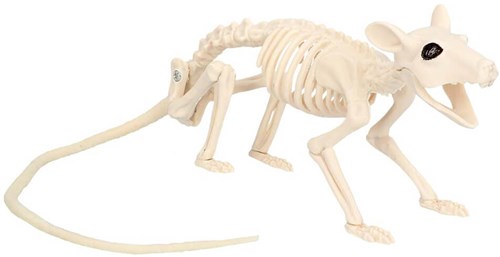 Decoratie Halloween Skelet Rat (46cm)
