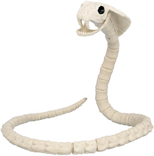 Halloween Deco Slang Skelet - 102cm