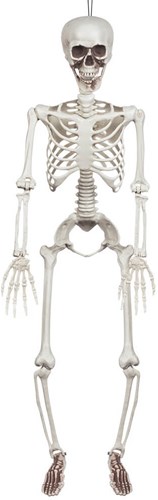  Decoratie Halloween Skelet Beweegbaar - 90cm