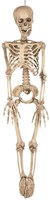 Skelet Hangdecoratie - 90cm