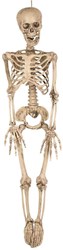 Skelet Hangdecoratie - 90cm