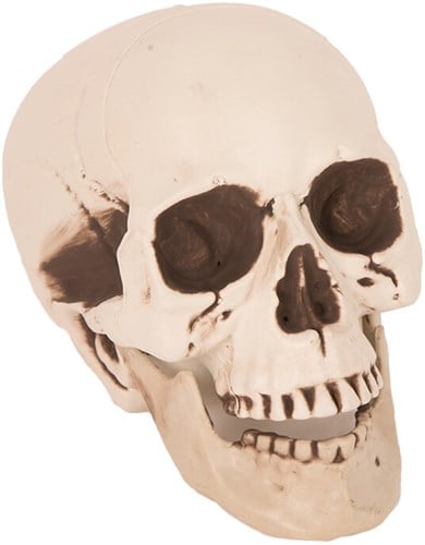 Deco Skull (25cm)