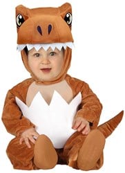 Pak Dino Baby