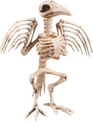 Kraaienskelet Halloweendeco (32cm)