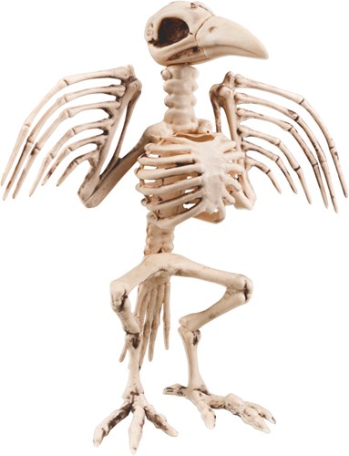 Kraaienskelet Halloweendeco (32cm)