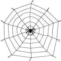 Elastische Spinnenweb met Spin (1,5 m)