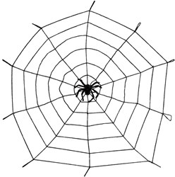 Elastische Spinnenweb met Spin (1,5 m)