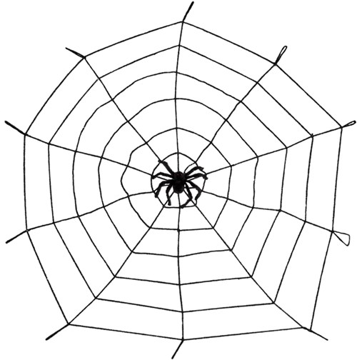 Elastische Spinnenweb met Spin (1,5 m)