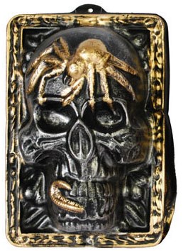 Wanddeco Zilveren Skull (35x24cm)