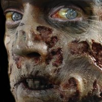Wond Zombie Rot (professioneel)-2