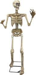 Skelet met Beweging, Licht en Geluid - 150cm