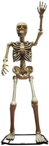 Decoratie Halloween Skelet Mega - 335cm
