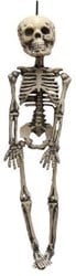 Decoratie Skeletje (30cm)
