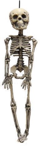 Decoratie Skeletje (30cm)