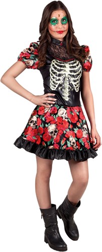 Niña Catrina Halloween Jurk (Dia de los Muertos)