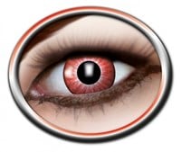 Lenzen Electro Red (3 maanden)