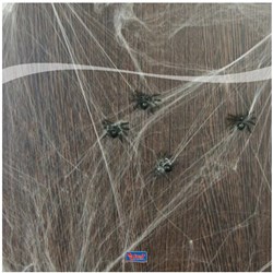 Spinnenweb met Spinnen (20gr)