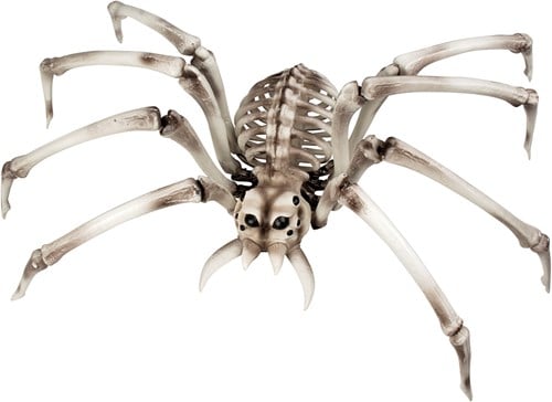 Grote Spinnenskelet Halloweendeco (48x82cm)